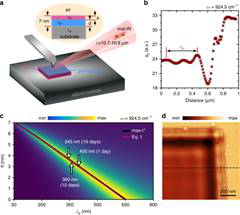 Phonon Properties of SiC Wafer