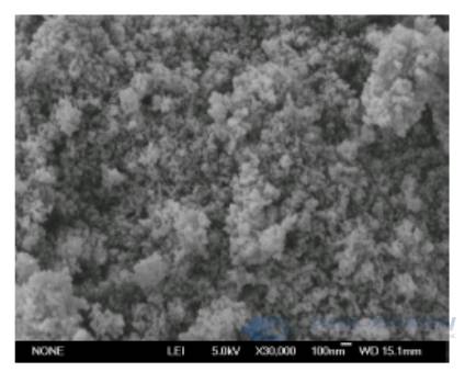 Diagramma SEM nanometro polvere d'argento