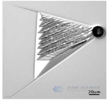 Fig. 1 Morfologia superficial de defeitos triangulares com partículas grandes no topo