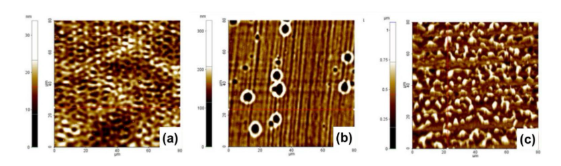 Fig. 1 AFM surface morphology of SiC wafers after laser annealing