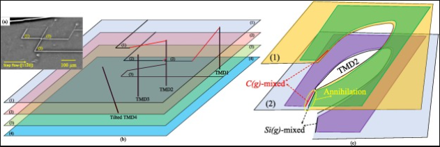 Fig. 2 Dual action mechanism of SSF and TMD