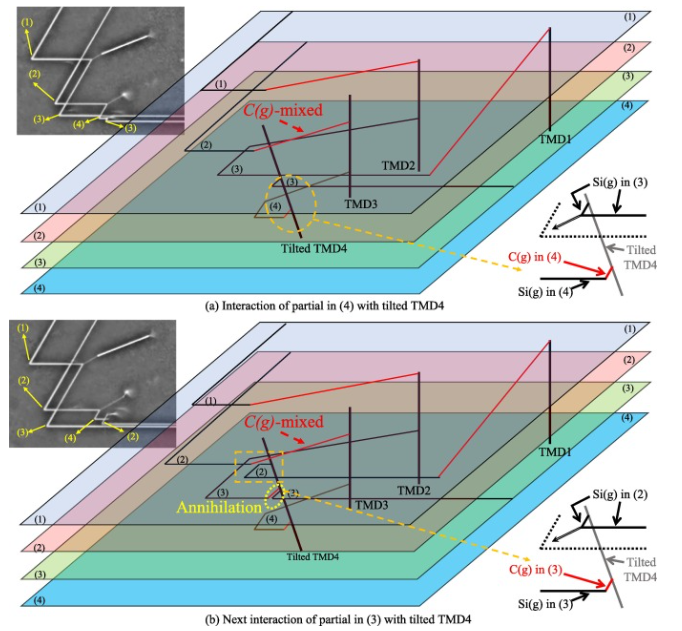 Fig. 3 Interaction between BPD and tilted TMD