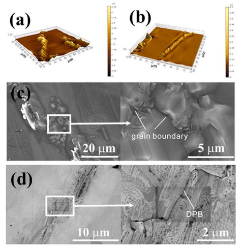 Fig. 3 Imágenes AFM de películas 3C-SiC en (a) cara C y (b) sustratos 4H-SiC de cara Si; Morfología SEM esquemática para (c) cara C y (d) cara Si