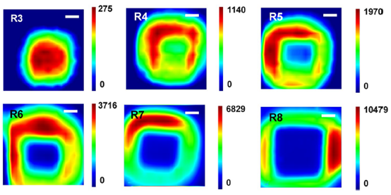 Fig. 6. 2D distribution maps of VSi PL signals after helium ion implantation with different doses